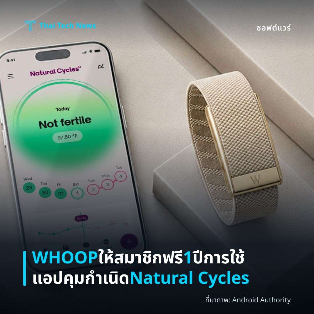 WHOOP ให้สมาชิกฟรี 1 ปีการใช้แอปคุมกำเนิด Natural Cycles