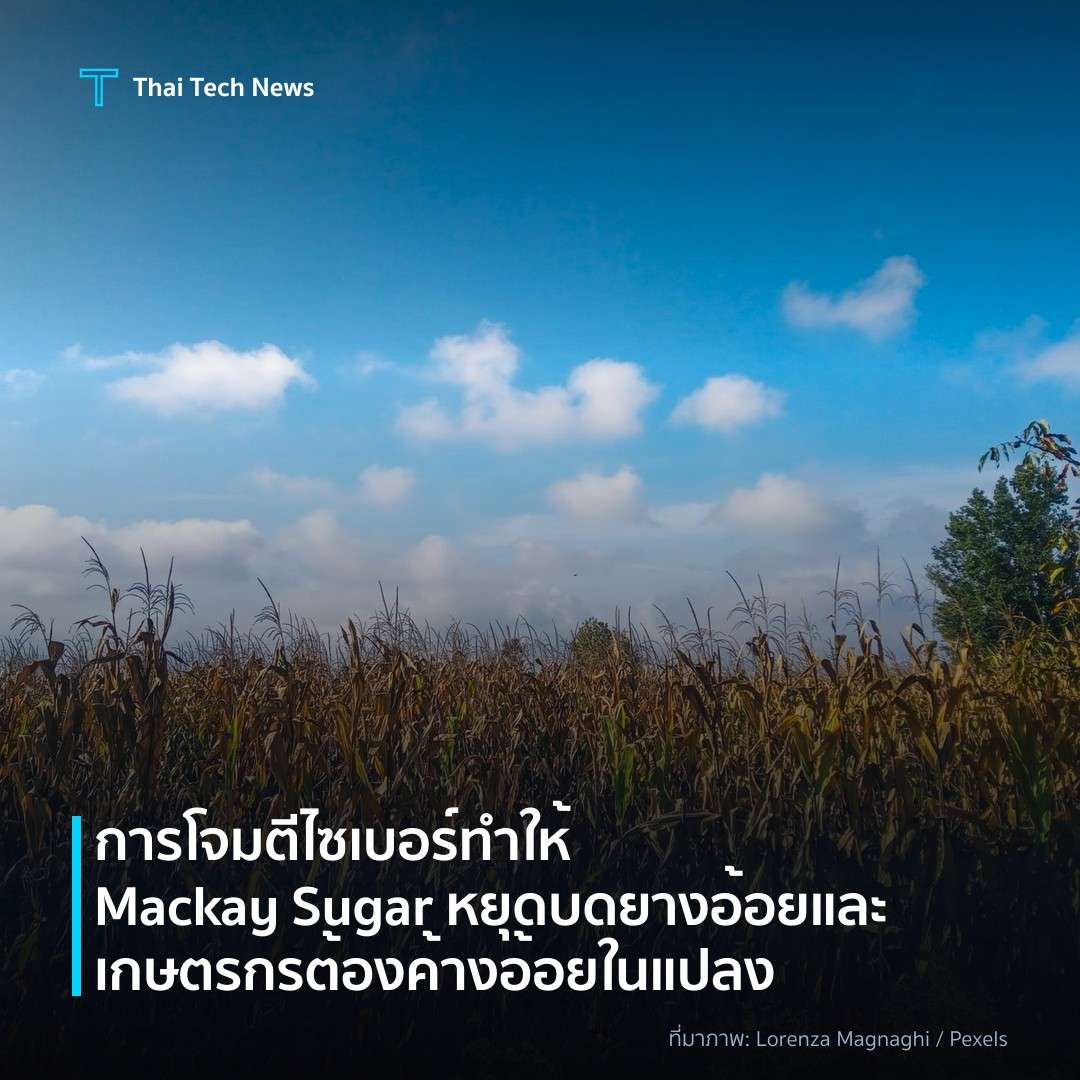 การโจมตีไซเบอร์ทำให้ Mackay Sugar หยุดบดยางอ้อยและเกษตรกรต้องค้างอ้อยในแปลง