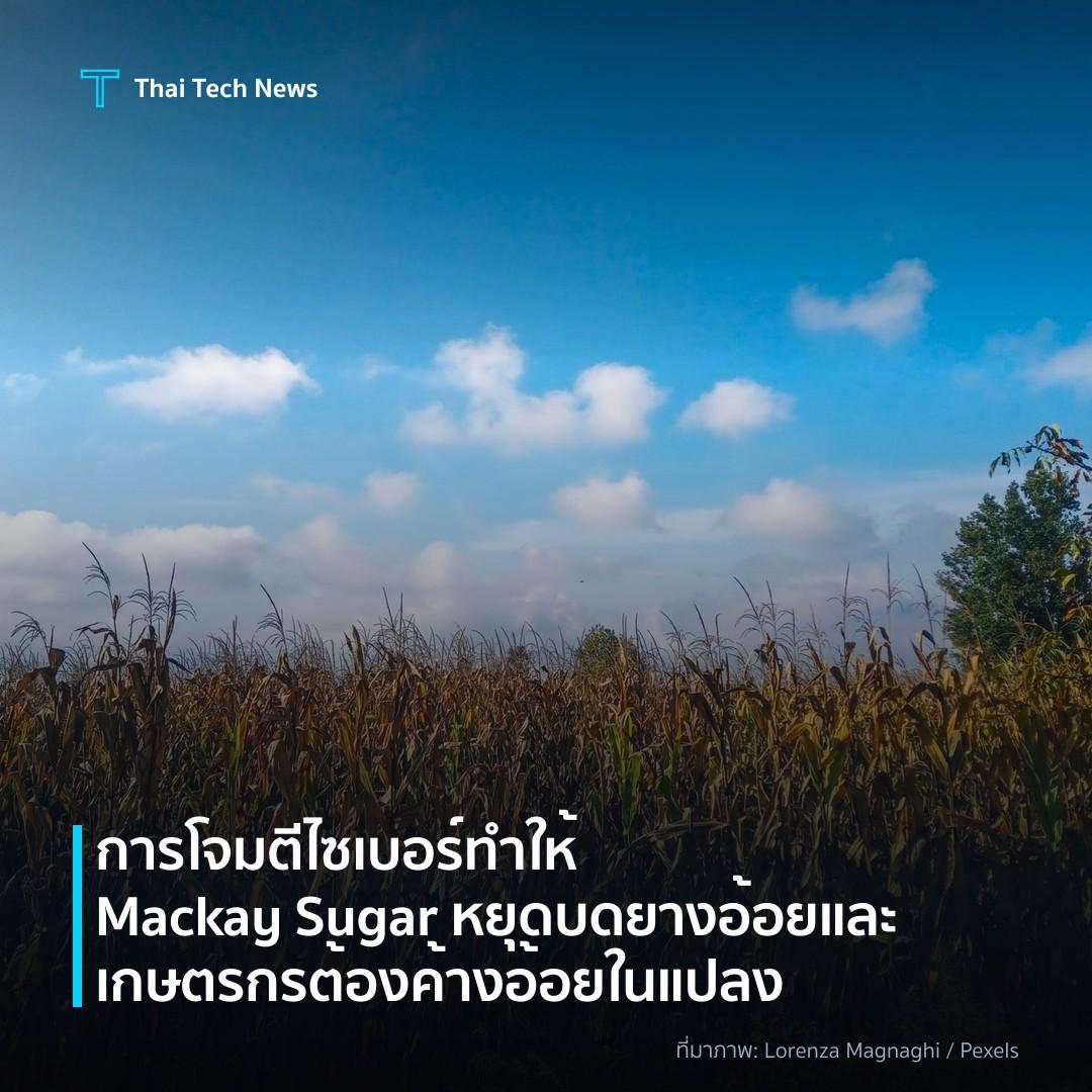 การโจมตีไซเบอร์ทำให้ Mackay Sugar หยุดบดยางอ้อยและเกษตรกรต้องค้างอ้อยในแปลง