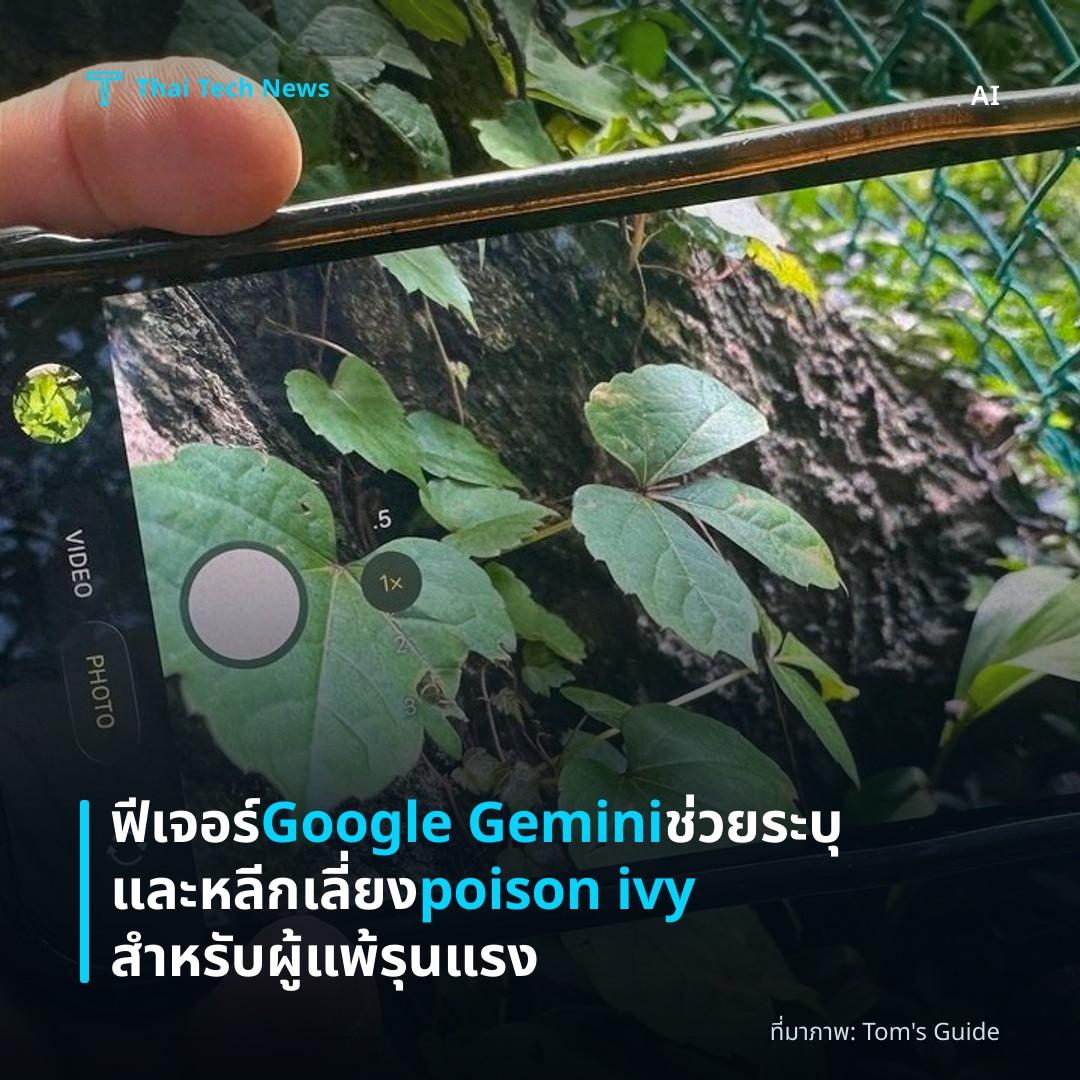 ฟีเจอร์ Google Gemini ช่วยระบุและหลีกเลี่ยง poison ivy สำหรับผู้แพ้รุนแรง