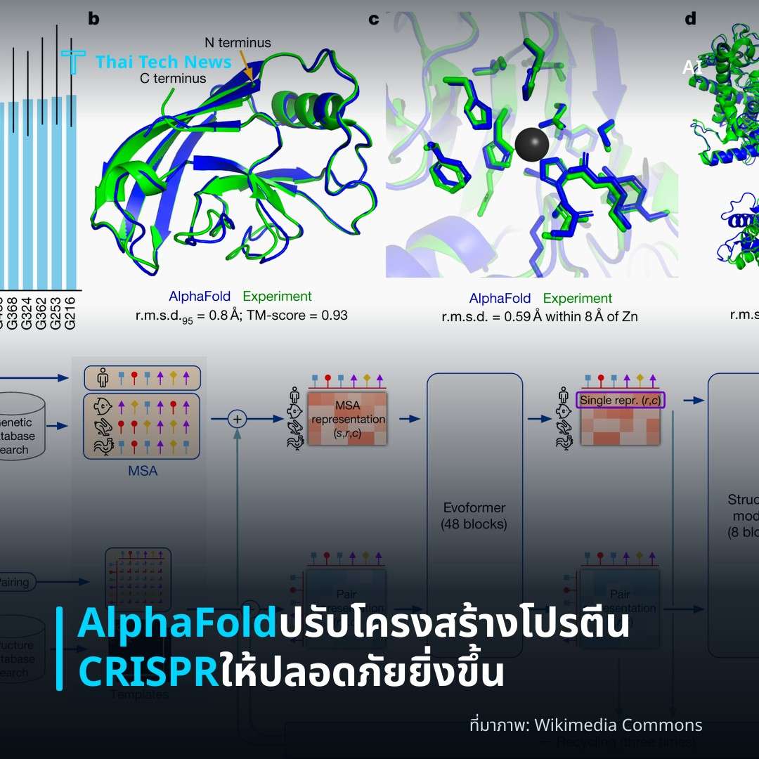 AlphaFold ปรับโครงสร้างโปรตีน CRISPR ให้ปลอดภัยยิ่งขึ้น