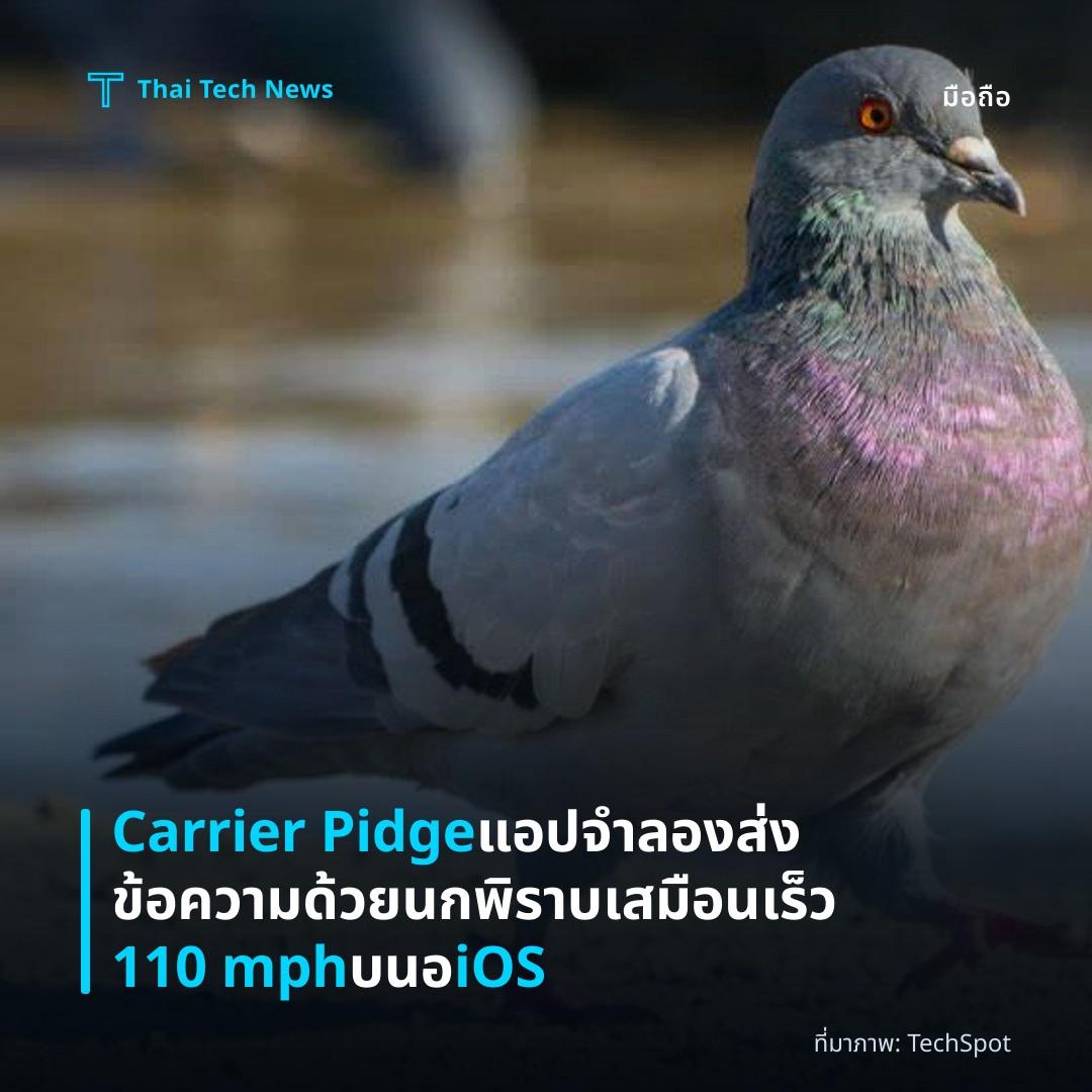 Carrier Pidge แอปจำลองส่งข้อความด้วยนกพิราบเสมือนเร็ว 110 mph บนอ iOS