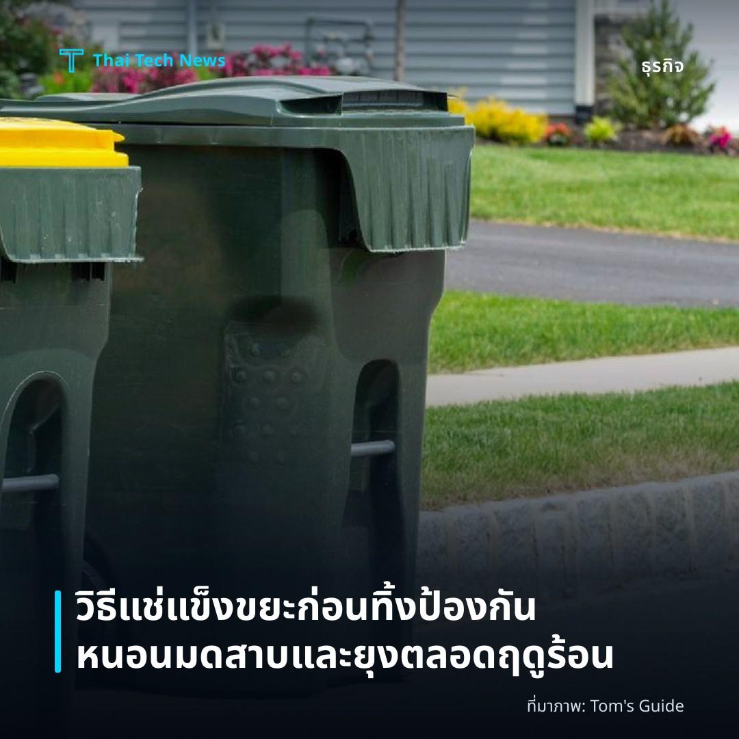 วิธีแช่แข็งขยะก่อนทิ้ง ป้องกันหนอนมดสาบและยุงตลอดฤดูร้อน