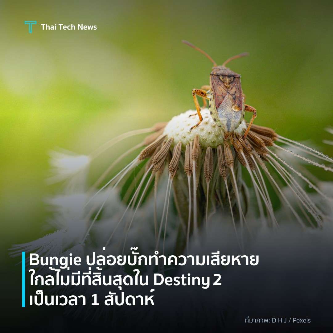 Bungie ปล่อยบั๊กทำความเสียหายใกล้ไม่มีที่สิ้นสุดใน Destiny 2 เป็นเวลา 1 สัปดาห์