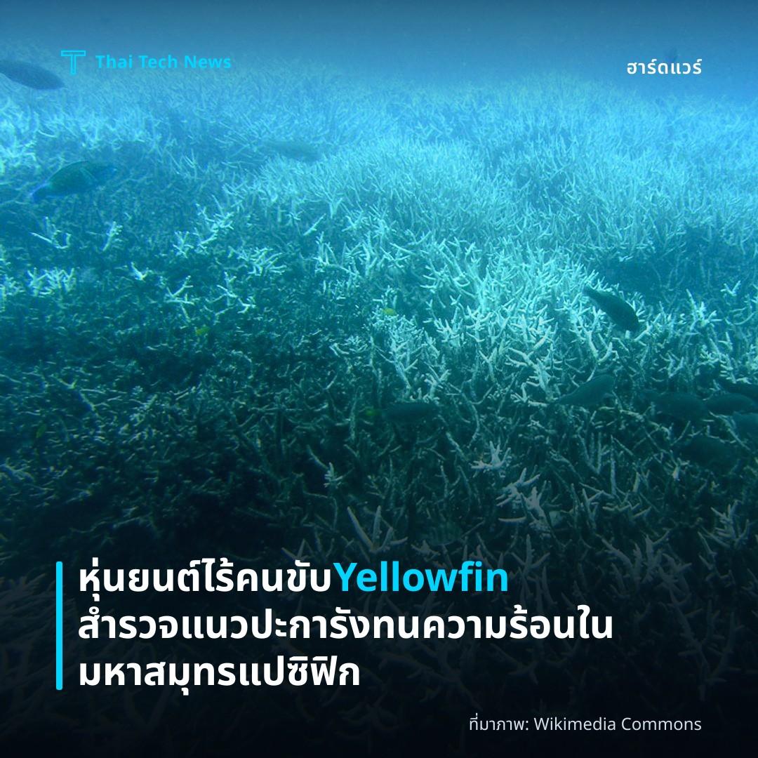 หุ่นยนต์ไร้คนขับ Yellowfin สำรวจแนวปะการังทนความร้อนในมหาสมุทรแปซิฟิก