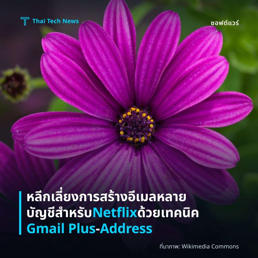 หลีกเลี่ยงการสร้างอีเมลหลายบัญชีสำหรับ Netflix ด้วยเทคนิค Gmail Plus‑Address