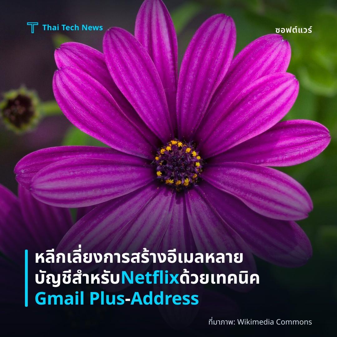หลีกเลี่ยงการสร้างอีเมลหลายบัญชีสำหรับ Netflix ด้วยเทคนิค Gmail Plus‑Address